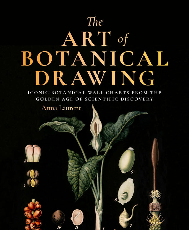 The Art of Botanical Painting