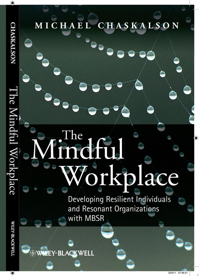 The Mindful Workplace