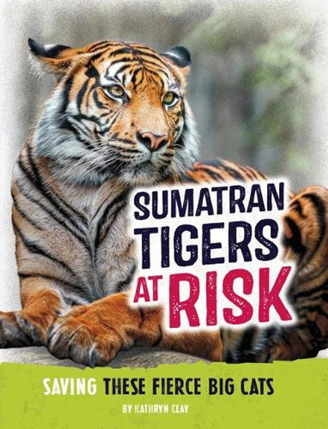 Animals at Risk Sumatran Tiger
