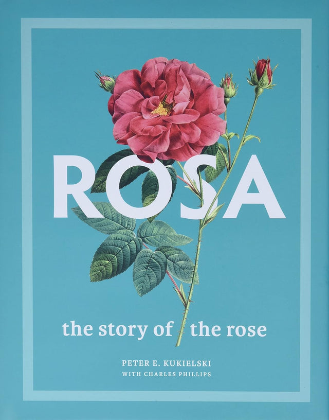 Rosa