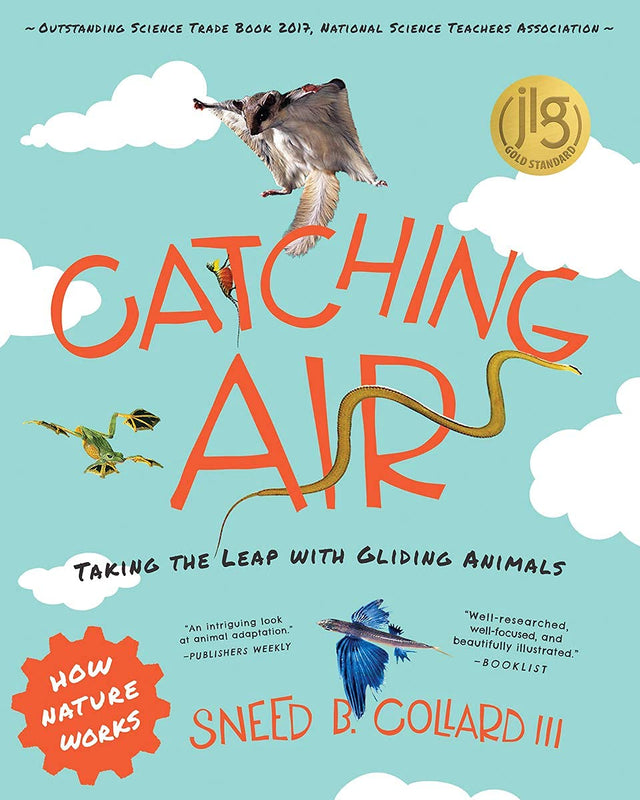 Catching Air