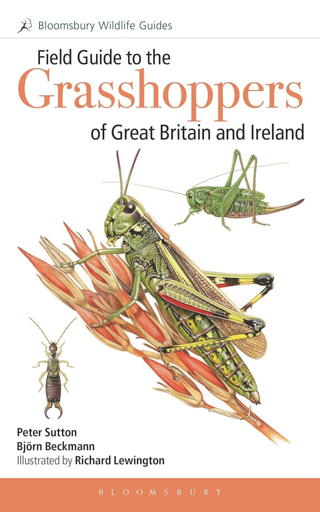 Field Guide to the Grasshoppers and Allies of Great Britain and Ireland