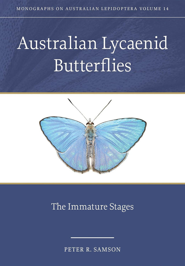 Australian Lycaenid Butterflies