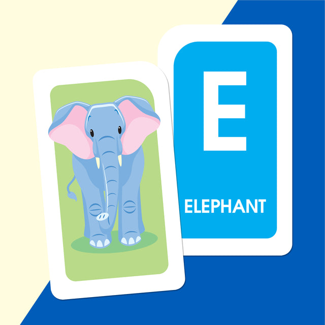 School Zone Flash Cards Alphabet