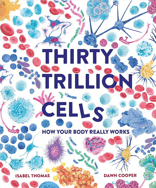 Thirty Trillion Cells