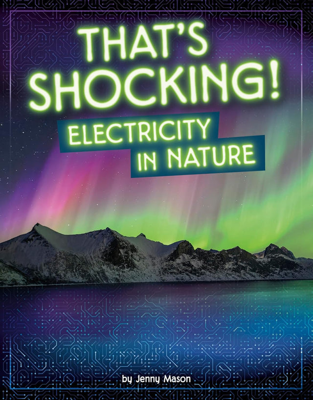 Electricity in Action That’S Shocking