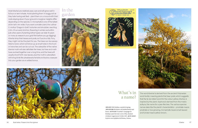 Aotearoa in Bloom