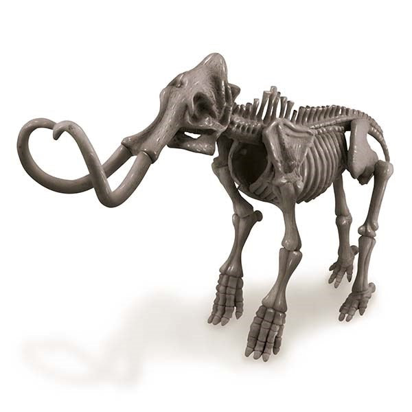 4M: Kidzlabs Dig A Mammoth Skeleton