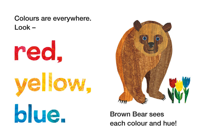 Brown Bear and Friends: Colours