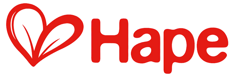 Hape Arts & Crafts