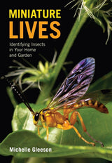 Miniature Lives
