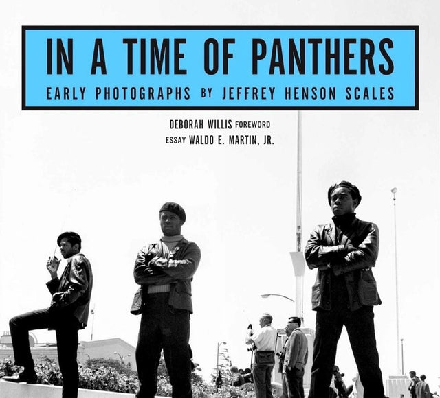In A Time of Panthers