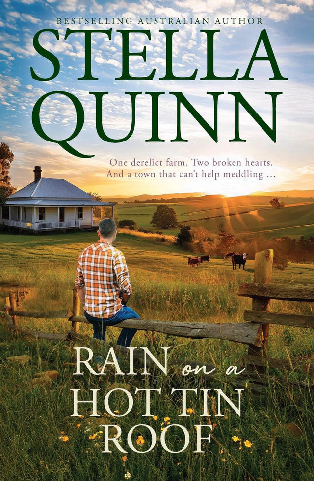 Rain on a Hot Tin Roof: A single dad and a town of matchmakers, 2026's funny new romance, perfect for readers of Karly Lane, from an award-winning and bestseller author