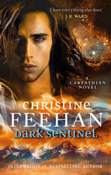 Dark Sentinel