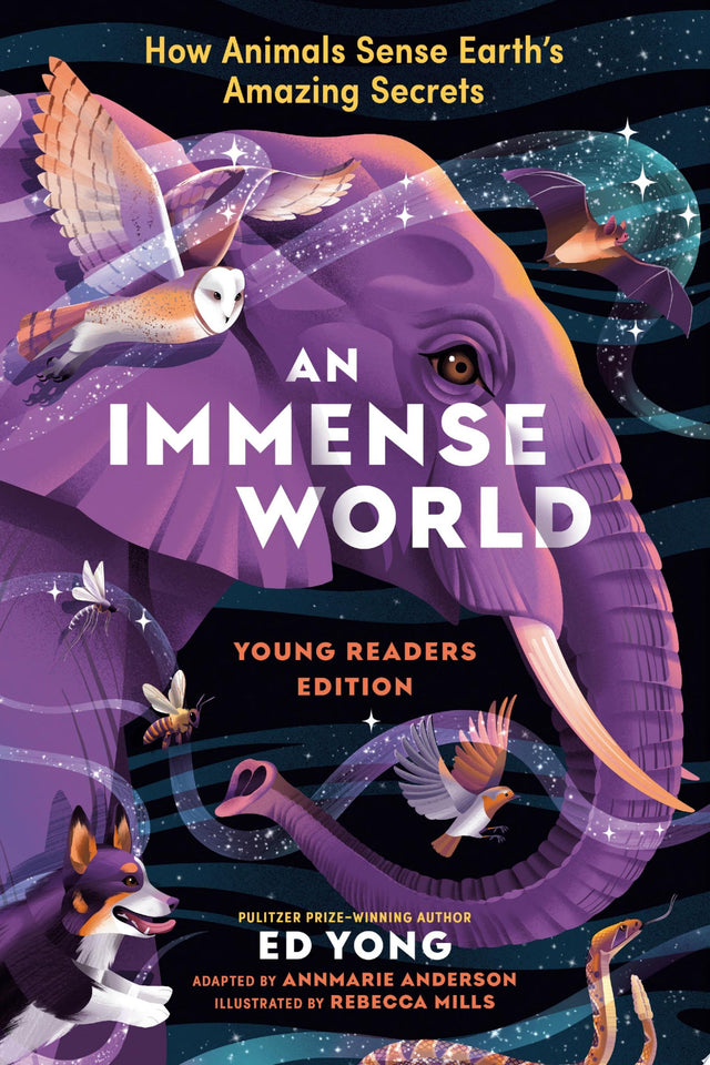 Immense World, An