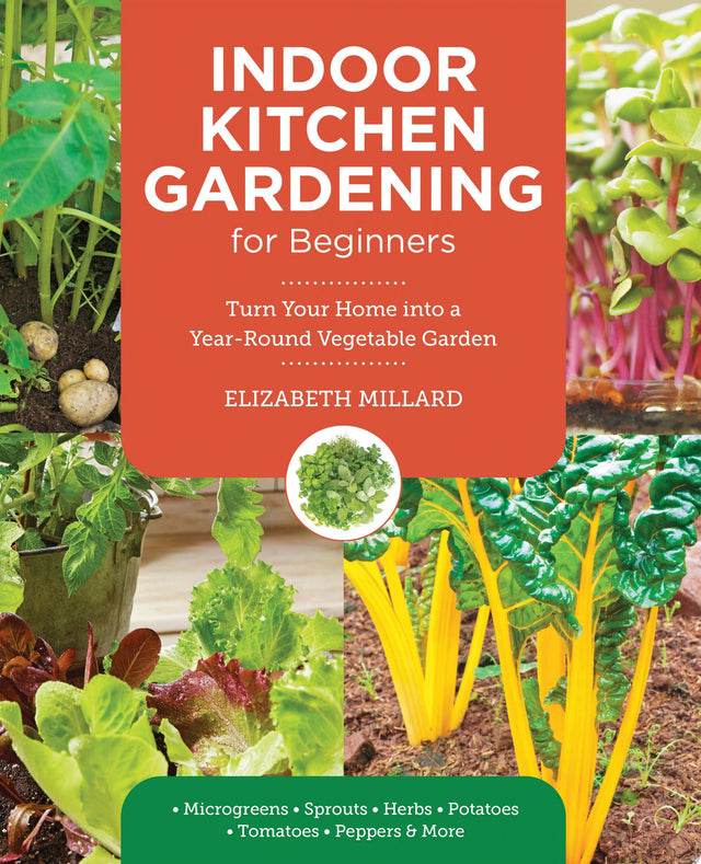 Indoor Kitchen Gardening for Beginners