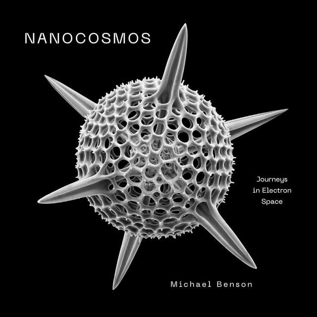 Nanocosmos