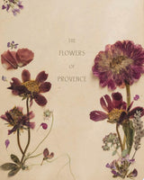 The Flowers of Provence