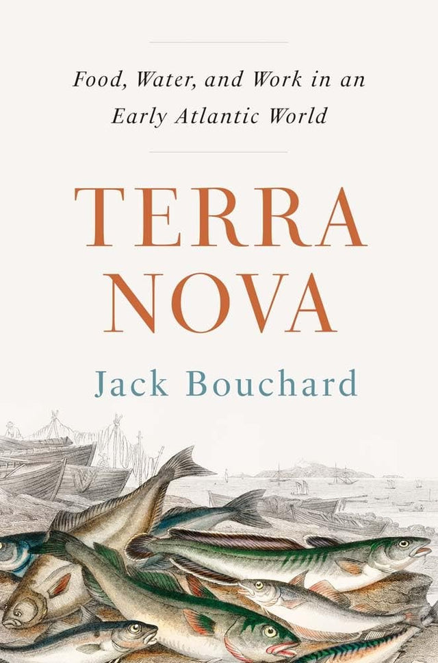 Terra Nova