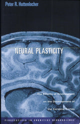 Neural Plasticity