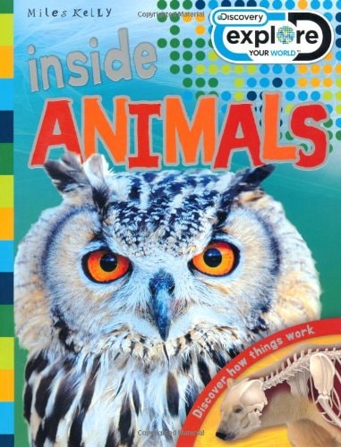 Discovery Inside: Animals