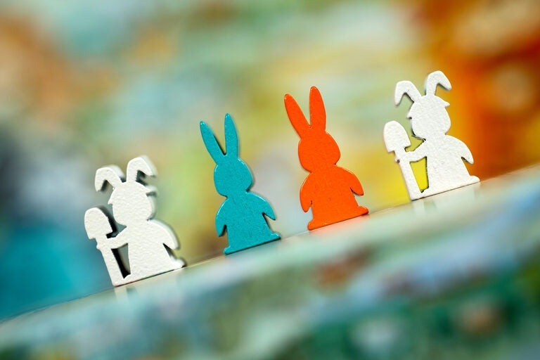 Bunny Kingdom Town