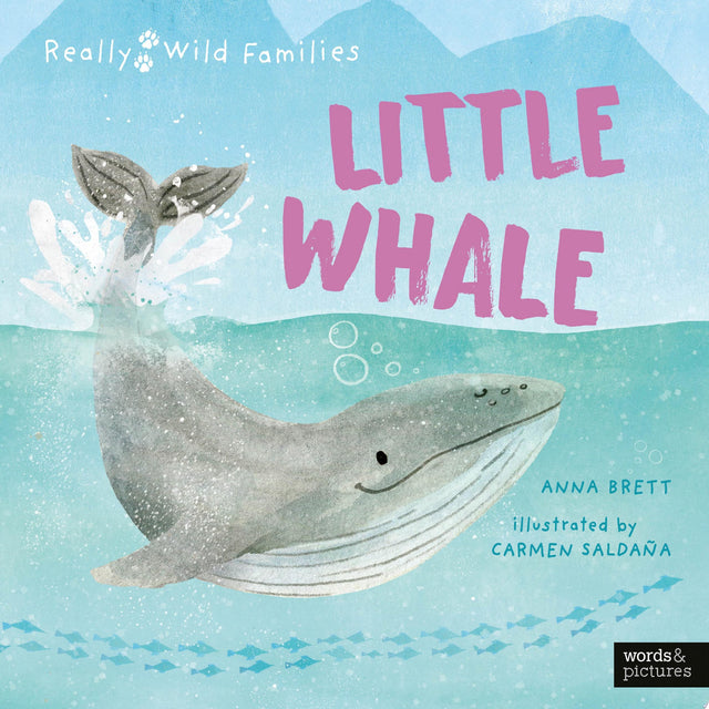 Little Whale