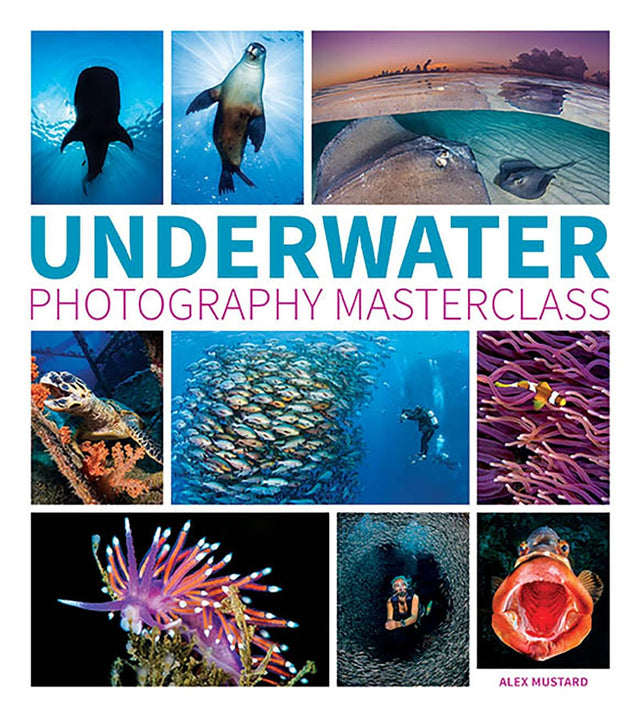 Underwater Photography Masterclass