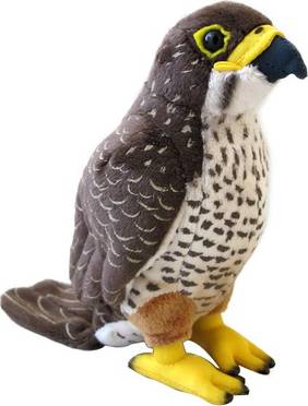 NZ Falcon Bird Plush with Sound