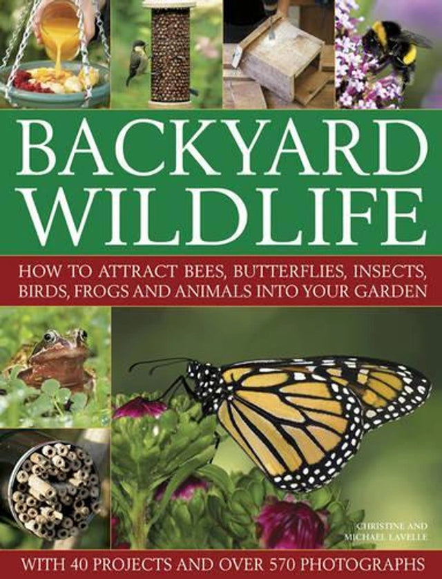 Backyard Wildlife