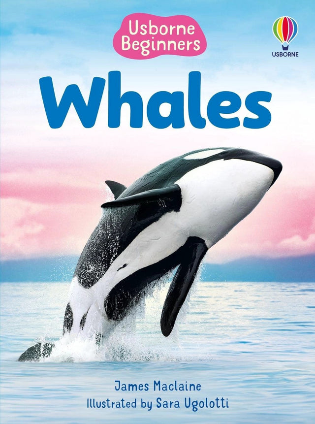 Beginners Whales