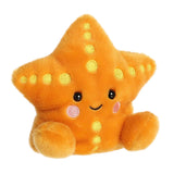 Palm Pals Plush - Treasure Starfish