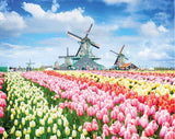 Mindbogglers: 1000pc Jigsaw Puzzle - Dutch Windmills, Holland, Netherlands
