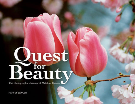 Quest for Beauty