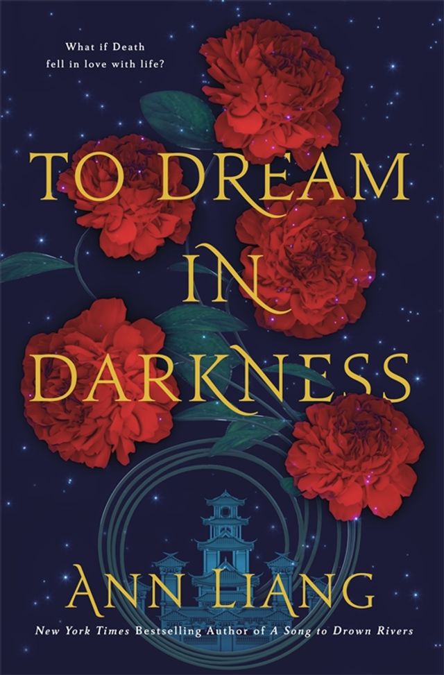 To Dream in Darkness