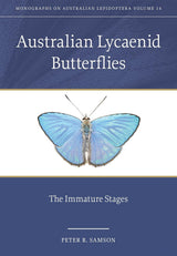 Australian Lycaenid Butterflies