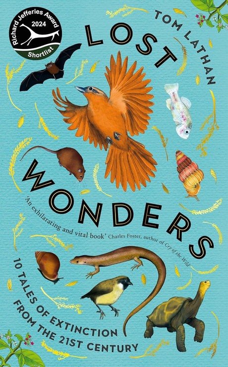 Lost Wonders