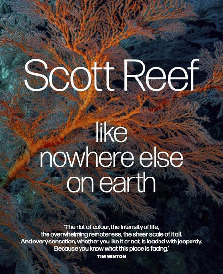 Scott Reef