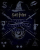 Harry Potter - The Artifact Vault