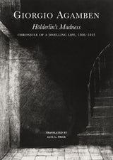 Hölderlin’s Madness