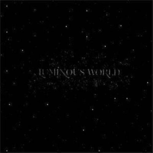 Luminous World : The Wesfarmers Collection