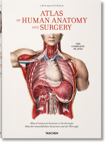 Bourgery
