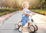 Hape: Step by Step Trike