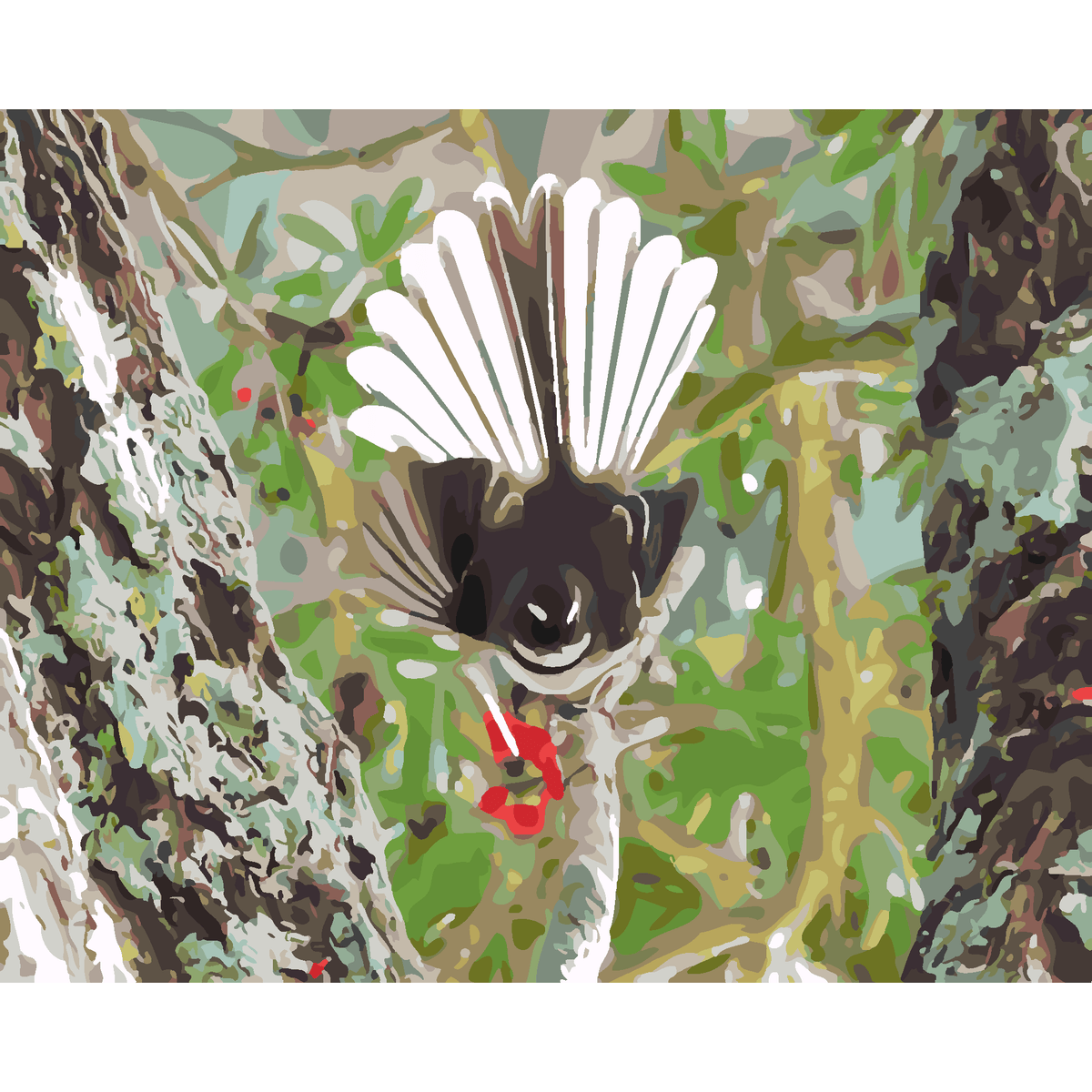 Kiwi Paint By Numbers - Fantail - Piwakawaka