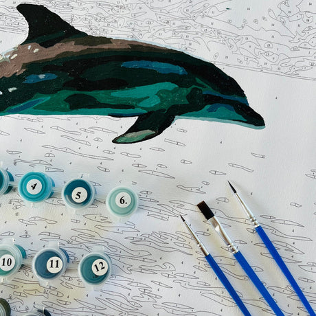 Kiwi Paint By Numbers - Common Dolphin