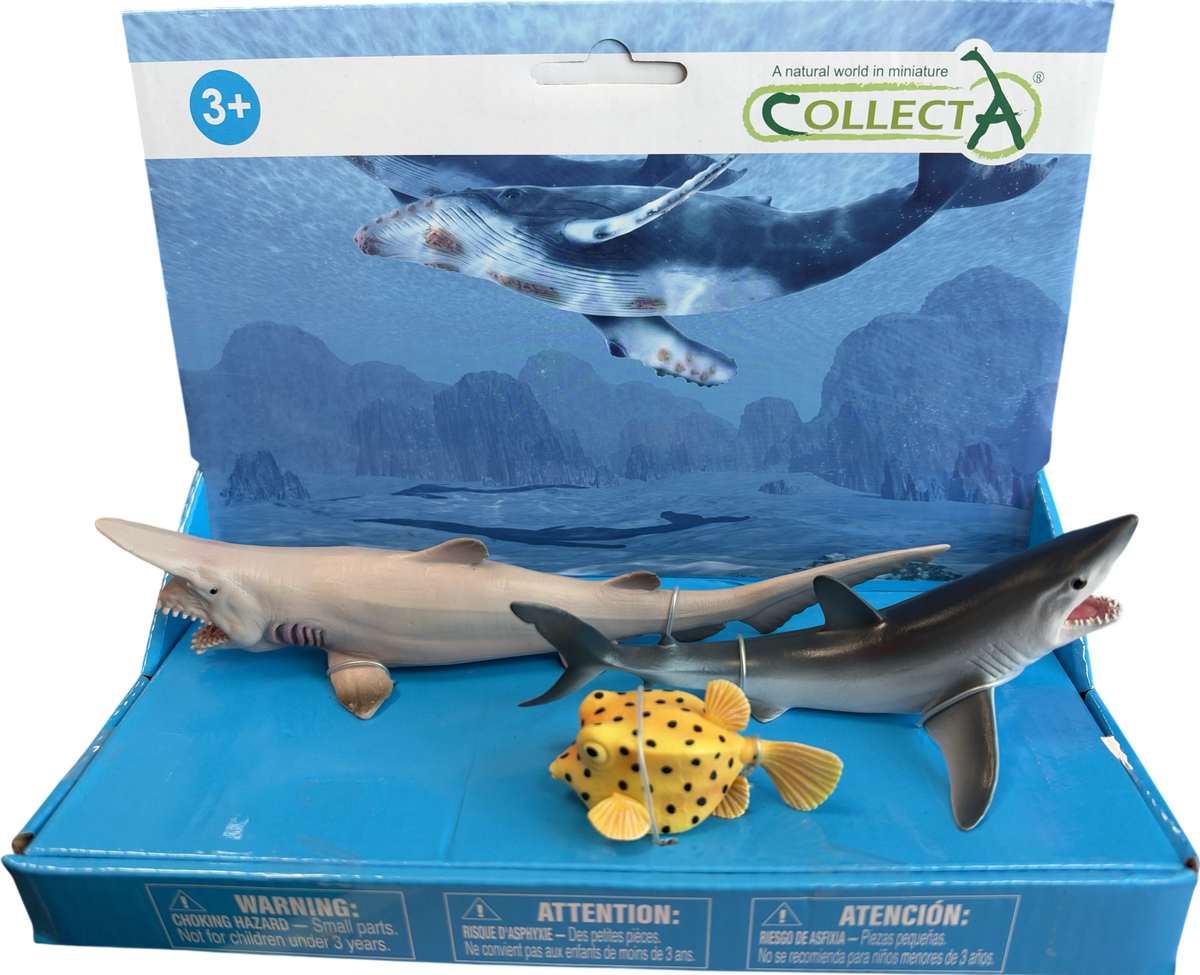 CollectA: 3pcs Sea Life - Set 2