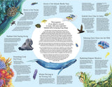 Wild Seas Jigsaw - 1000 Piece Jigsaw Puzzle