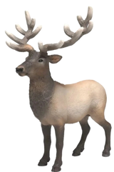 Schleich - Elk