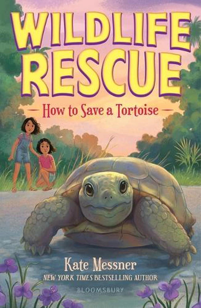 How to Save a Tortoise