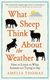 What Sheep Think About the Weather